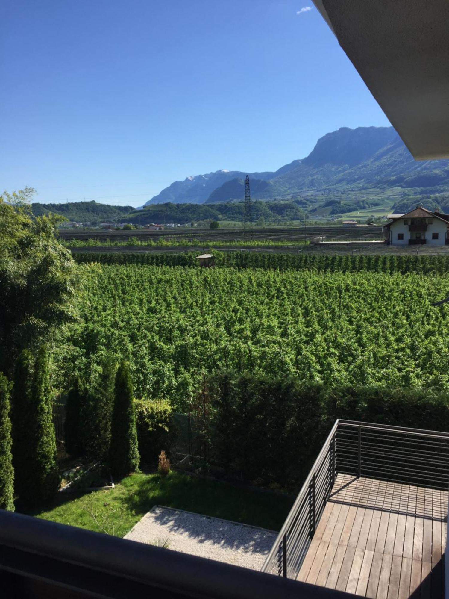 B&B Mele D'Oro Bolzano Bagian luar foto